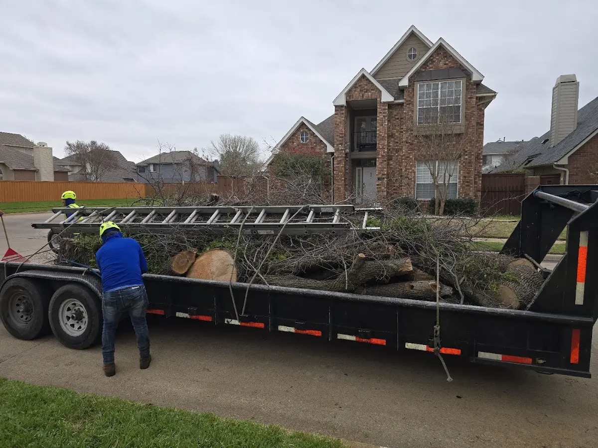 Expert Crown Reduction with proper safety equipment in Glenview